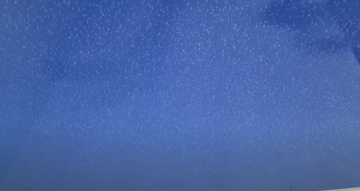 Артем, , фото 3