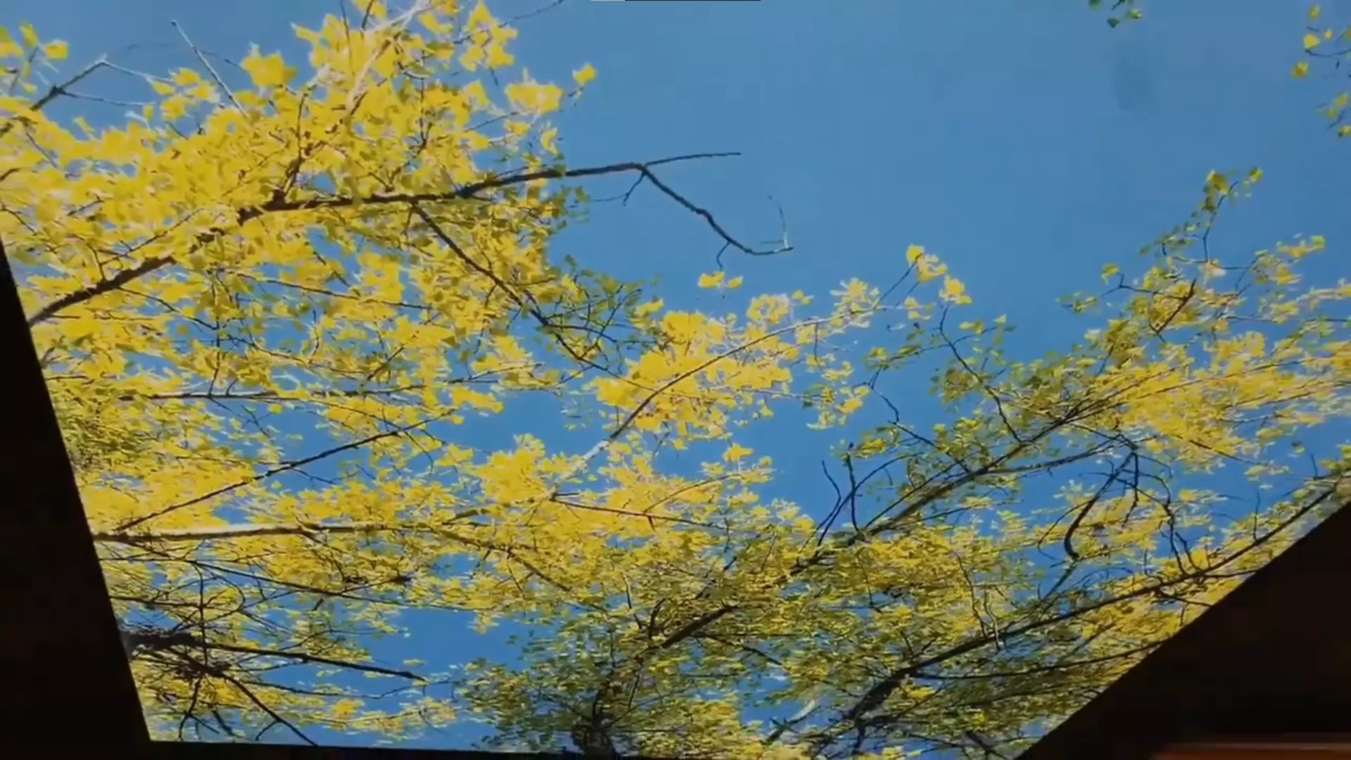 Дзержинск, проспект Циолковского, 79, фото 2