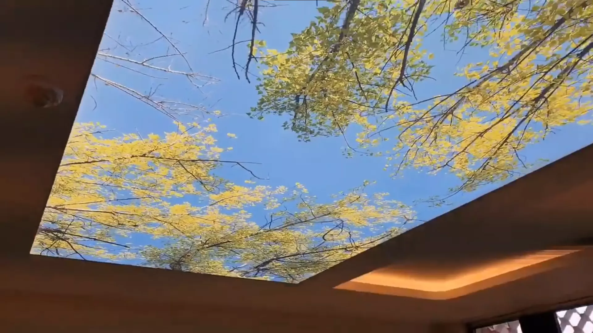 Дзержинск, проспект Циолковского, 79, фото 3